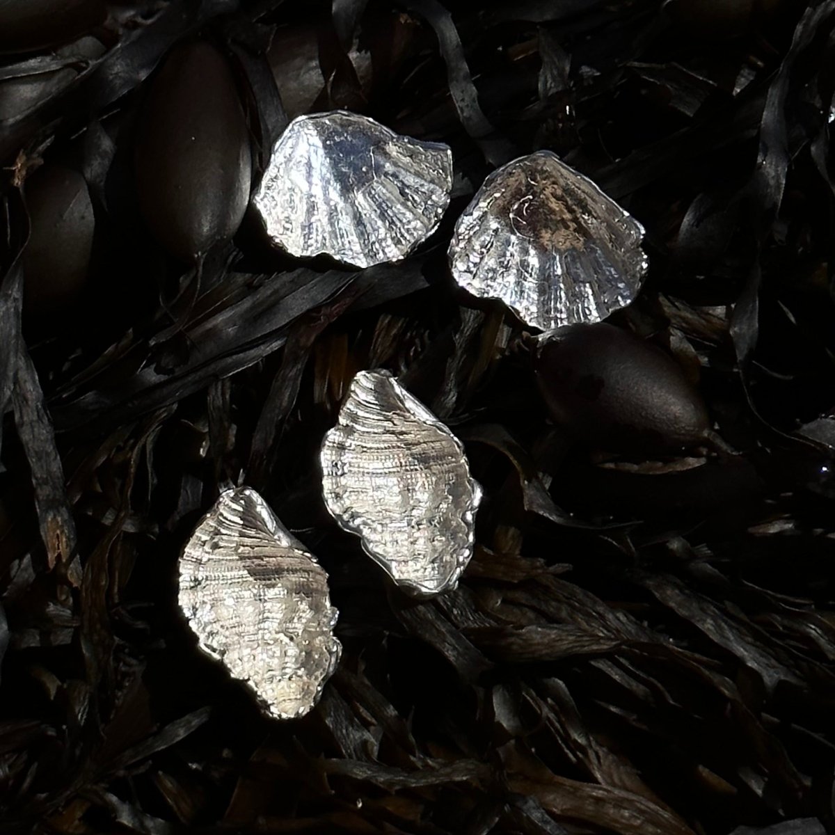 Ran Sea Shell Earrings (Goddess of the sea) - Earrings